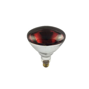 Đèn sưởi hồng ngoại R125
